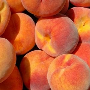 profile_Peach