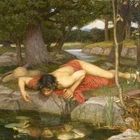 Narcissus type de personnalité MBTI image