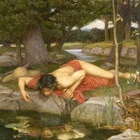 Narcissus MBTI性格类型 image