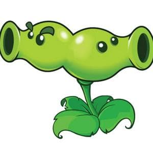 profile_Split Pea