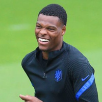 profile_Denzel Dumfries