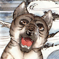 profile_Kagetora