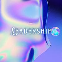 profile_Leadership (Low Scorers)