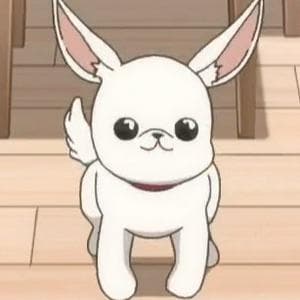 profile_That dawg named Pocci