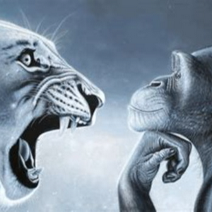 profile_Be easily ragebaited