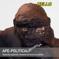 Ape-Political MBTI Personality Type image