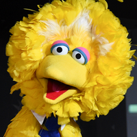 Big Bird نوع شخصية MBTI image