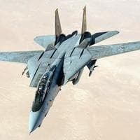 profile_Grumman F-14 Tomcat