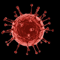 Coronavirus MBTI性格类型 image