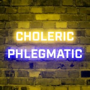 profile_Choleric-Phlegmatic (CholPhleg)