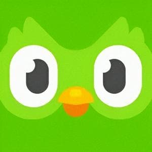 profile_Duolingo