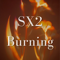 profile_Sexual Two: Burning