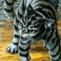 Darkstripe نوع شخصية MBTI image