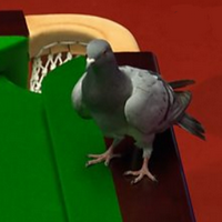 Snooker Pigeon MBTI Personality Type image