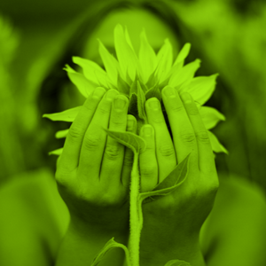 profile_Anais McIntosh