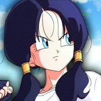 profile_Videl