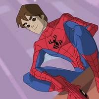 The Spectacular Spider-Man Intro tipe kepribadian MBTI image