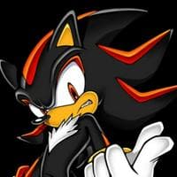 Shadow the Hedgehog MBTI Personality Type image