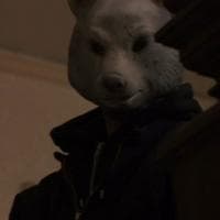 Tom (Fox Mask) نوع شخصية MBTI image