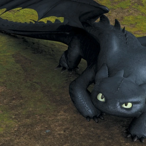 profile_Night Fury