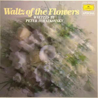 Pyotr Ilyich Tchaikovsky - "Waltz of the Flowers" tipo di personalità MBTI image