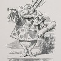 The White Rabbit type de personnalité MBTI image