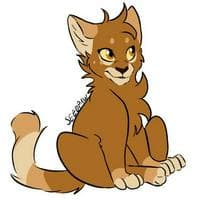 profile_Seedpaw