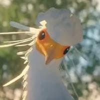 The Secretary Bird тип личности MBTI image