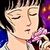 profile_Midori