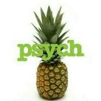 Pineapple(Entity) MBTI Personality Type image