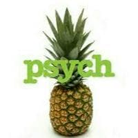 Pineapple(Entity) type de personnalité MBTI image