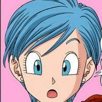 profile_Bulma