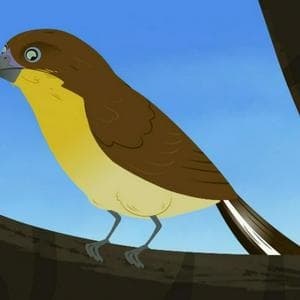 profile_Sweet Tweet