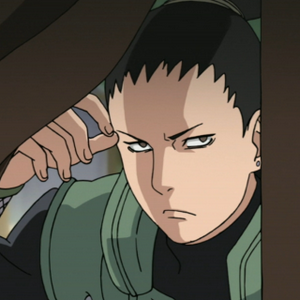 profile_Shikamaru Nara