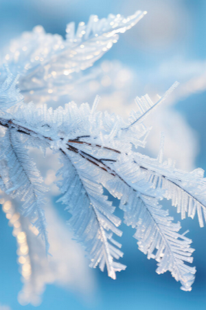 Theory of Ice