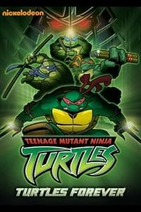 Teenage Mutant Ninja Turtles (2003)