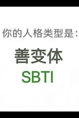 Silly Behavioral Type Indicator (SBTI)
