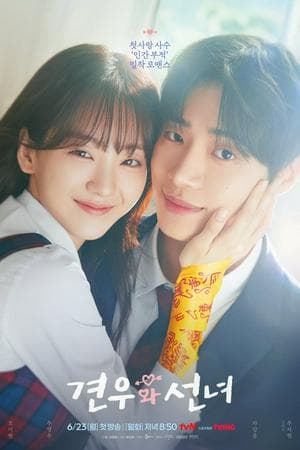 Head over Heels (2025)