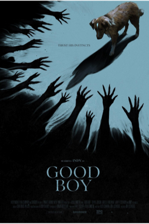 Good Boy (2025 film)
