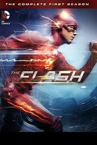 The Flash (2014)