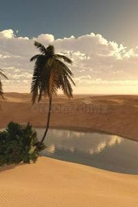 Personality Oasis