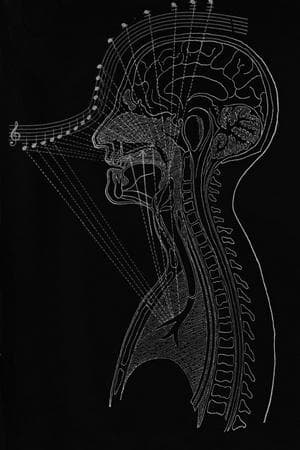 Vocal Techniques