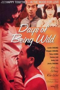 Days of Being Wild (1990)