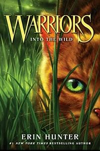 Warriors (Series)