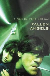 Fallen Angels (Do Lok Tin Si) (1995)