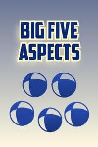 Big Five Aspects