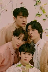 Highlight (formerly Beast)