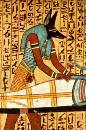 Egyptian
