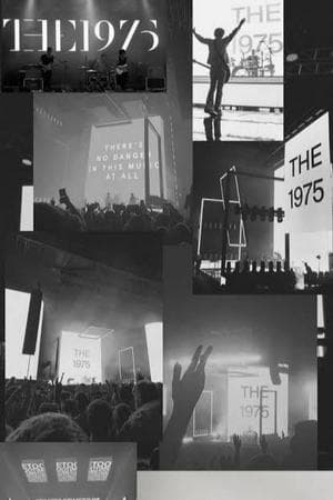 The 1975 Songs