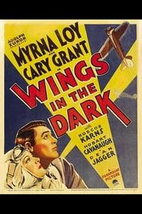 Wings in the Dark (1935)